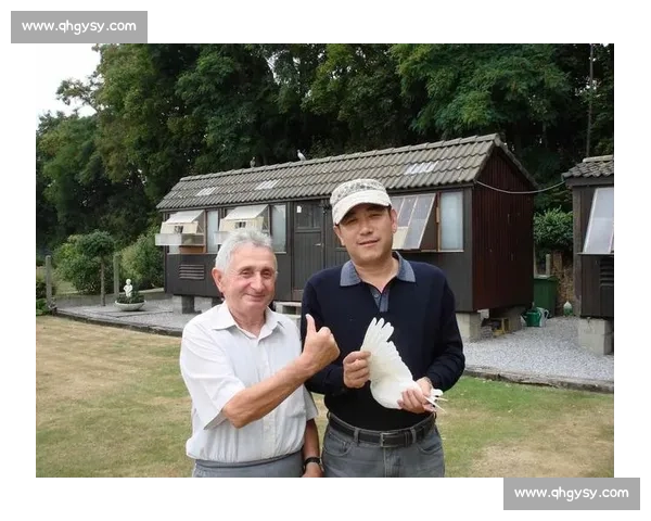 千里归途：信鸽与鸽友的坚守